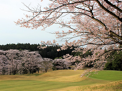 桜の宮ゴルフ倶楽部(茨城県笠間市小原2811)