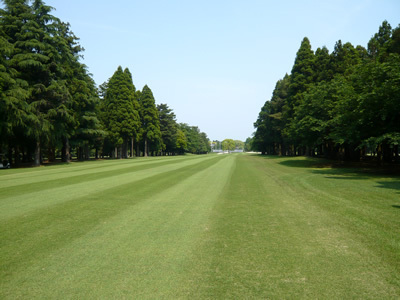 ザ ナショナルカントリー倶楽部 千葉(旧:千葉廣済堂CC)(千葉県市原市寺谷666)