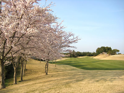 千葉桜の里ゴルフクラブ(千葉県香取市田部1434)