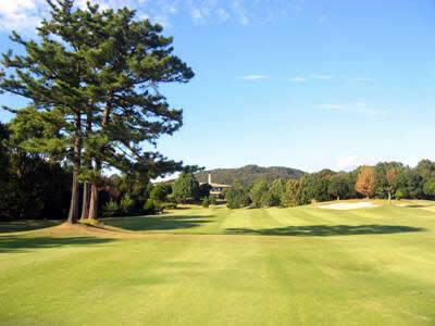 ザフォレストカントリークラブ(静岡県)(静岡県周智郡森町橘576-3)