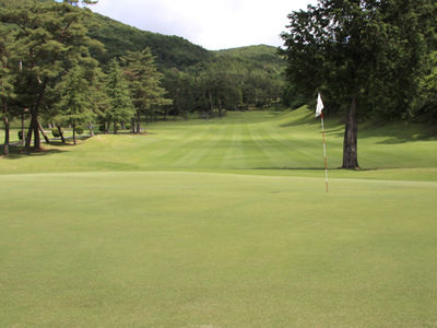 八千代カントリークラブ(広島県安芸高田市八千代町佐々井979-1)